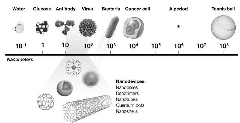 Regolamento 1169/2011 NANOMATERIALE INGEGNERIZZATO Sono definiti come nanomateriali quei
