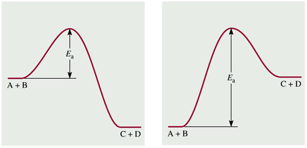 L energia cinetica minina richiesta per la reazione è detta energia di attivazione E a (l energia dello stato di transizione o complesso attivato) reazione esotermica A + B C + D