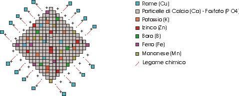 abbinando a questi le caratteristiche nutritive proprie degli elementi contenuti nella struttura delle particelle.