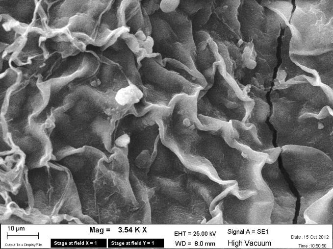 micronizzata, permettendo così una omogenea distribuzione delle particelle stesse all interno del volume d acqua utilizzato per l applicazione fogliare e di conseguenza una più omogenea distribuzione