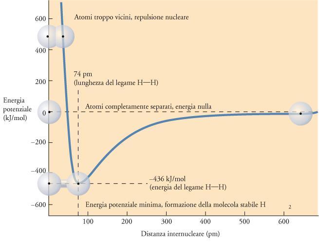 1s H 1s H forze di repulsione nucleo-nucleo e