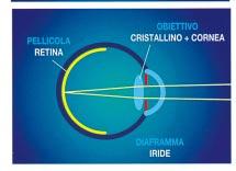 Obiettivo: nella macchina fotografica è una lente trasparente convessa la cui funzione è quella di far convergere i raggi luminosi sulla pellicola fotografica; il punto ove i raggi