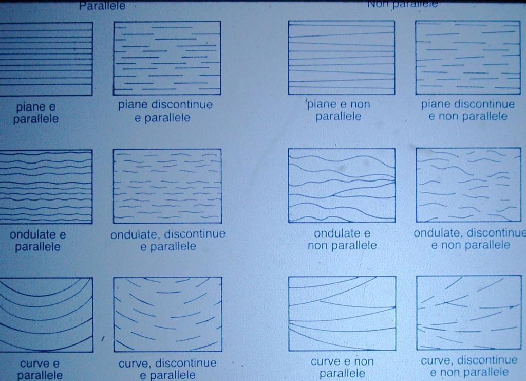 Tipologia delle