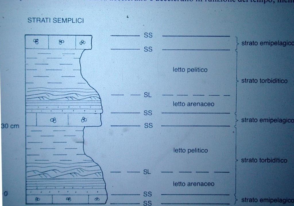 Strato = prodotto di un evento sedimentario