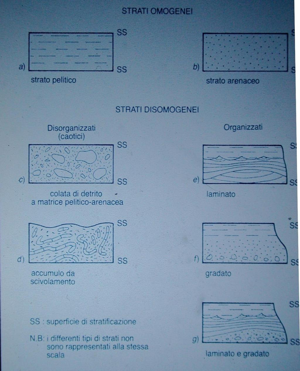 Strati : organizzazione interna Omogenei