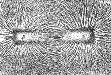 la disposizione della limatura secondo certe linee(linee di campo) ; ciò equivale a dire che un magnete