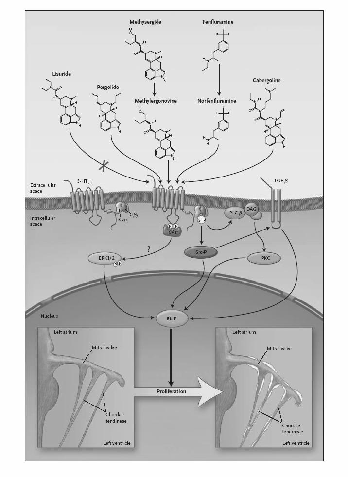 Roth BL et al., N Engl J Med 356;1 (2007).