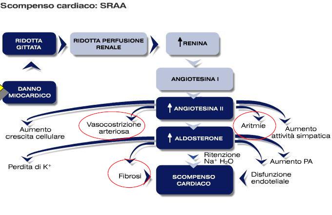 Corso di Fisiopatologia