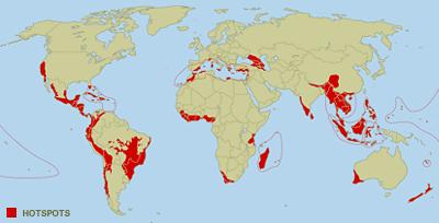 HOTSPOTS = LUOGHI PIU RAPPRESENTATIVI PER LA BIODIVERSITA La biodiversità = la varietà di piante e specie animali presenti nell'ambiente naturale - non è solo