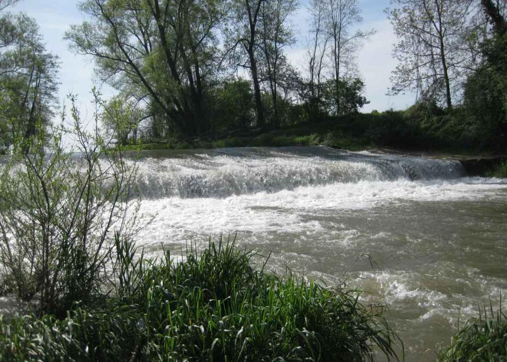 Comune di Cavallermaggiore Provincia di Cuneo Regione Piemonte IMPIANTO IDROELETTRICO SUL TORRENTE MELLEA IN CORRISPONDENZA DELLA TRAVERSA DI DERIVAZIONE DELLA BEALERA DEI MOLINI IN COMUNE DI