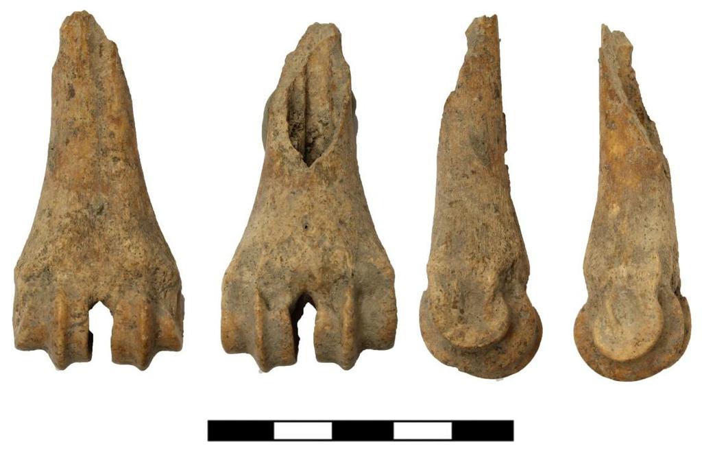 Daria Petruso - Giovanni Di Simone - Vincenza Forgia Tab. VI - Elementi anatomici di Ovis vel Capra distribuiti nelle diverse UUSS distinti come NRd e NMI. Fig.