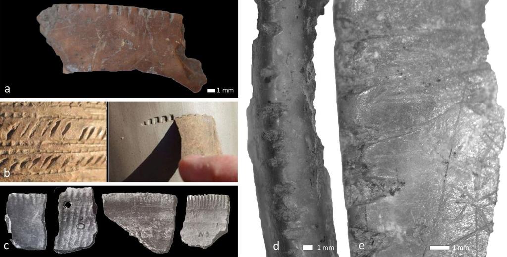 Daria Petruso - Giovanni Di Simone - Vincenza Forgia Fig. 31 - Pettine in osso dalla US 129: a. manufatto dentellato in osso; b.