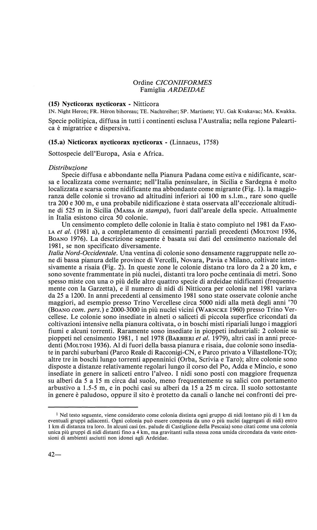 Ordine CICONIIFORMES Famiglia ARDEIDAE (15) Nycticorax nycticorax - Nitticora IN. Night Heron; FR. Héron bihoreau; TE. Nachtreiher; SP. Martinete; YU. Gak Kvakavac; MA. Kwakka.