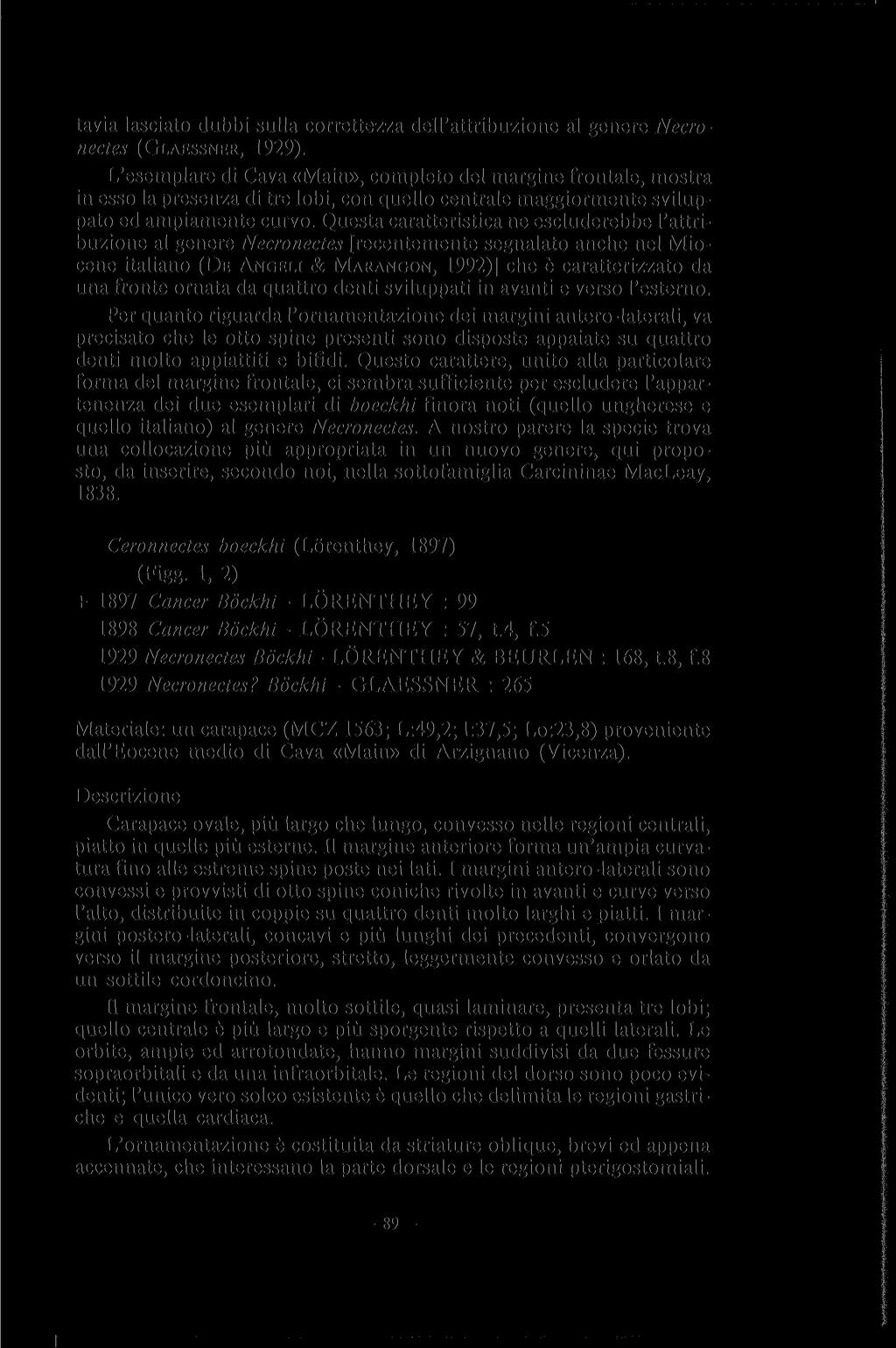 tavia lasciato dubbi sulla correttezza dell'attribuzione al genere Necronectes (GLAESSNER, 1929).