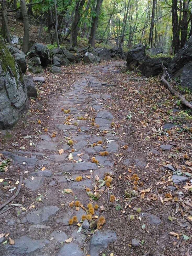 Figura 6: pavimentazione della Strada comunale di Ciauri