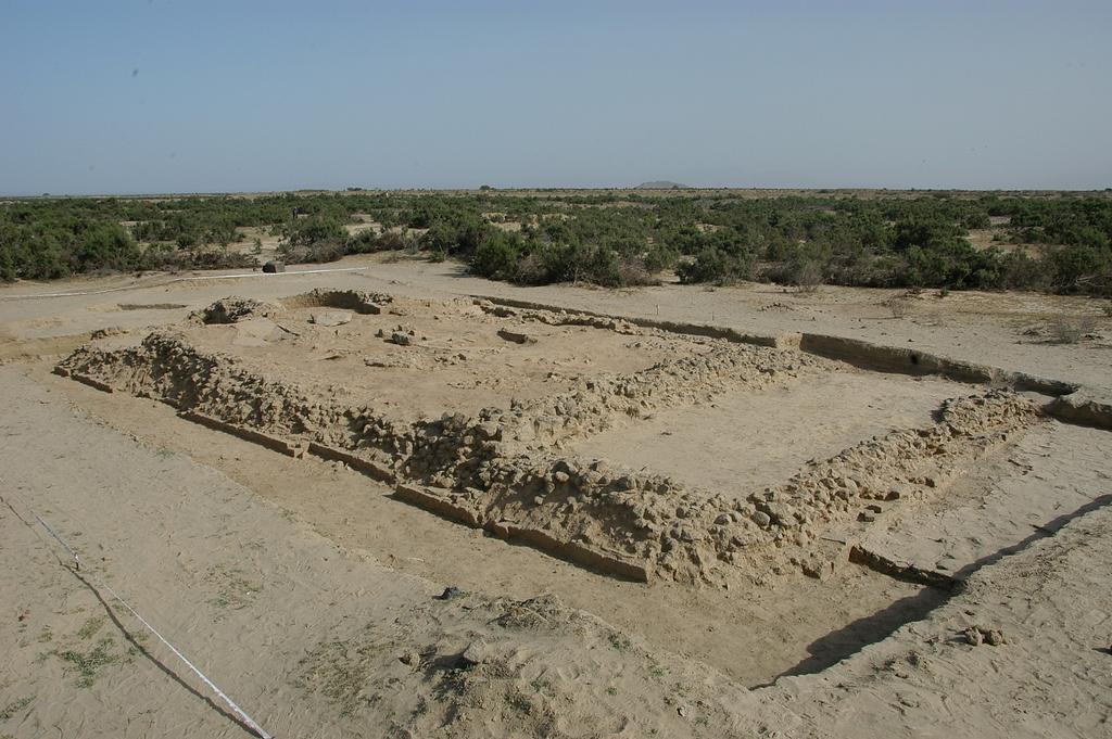 topografico con georeferenziazione delle evidenze archeologiche e delle trincee realizzate nel passato. Su tale base si è proceduto alla scelta delle aree di scavo: in corrispondenza della trincea n.