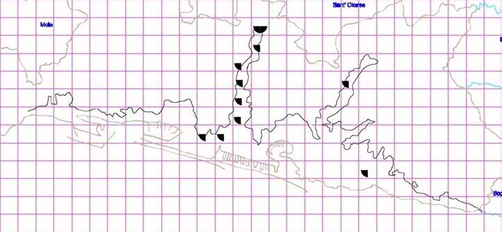 521',1(5266,&&,$+LUXQGRGDXULFD/LQQDHXV(XULQJ Migratrice, arriva in aprile-maggio e riparte da metà a fine settembre.