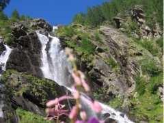 APRILE Trekking Le grotte Valsesiane dislivello mt 600 19 Ritrovo ore alle 9.00 al Bar-Tabacchi della fraz. Bettole di Borgosesia. Escursione con breve visita di grotte.