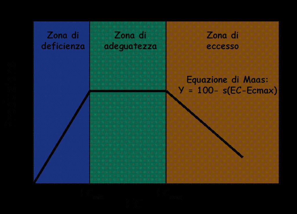 EC Influenza della EC sulla crescita e sviluppo di una pianta.