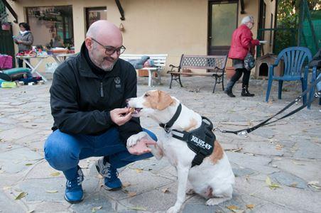 I volontari hanno partecipato collaborando in ottima sinergia guidando i gruppi in visita tra i recinti, e.