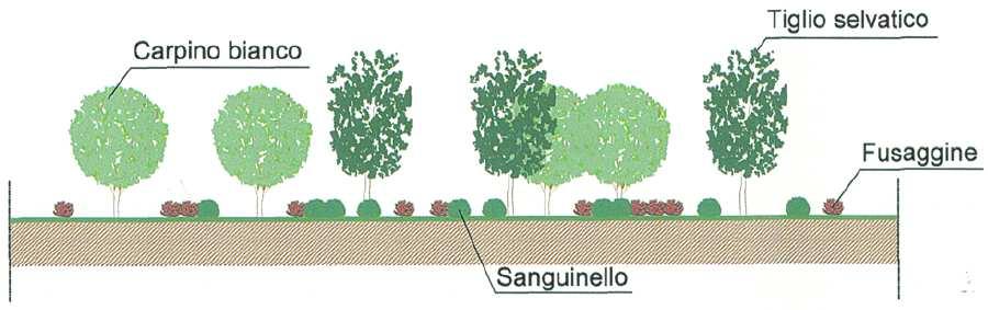 sistemazione di nuclei di vegetazione riqualificare le aree di intervento dal punto di vista ecologico-funzionale, valorizzando gli elementi di connessione valorizzare dal