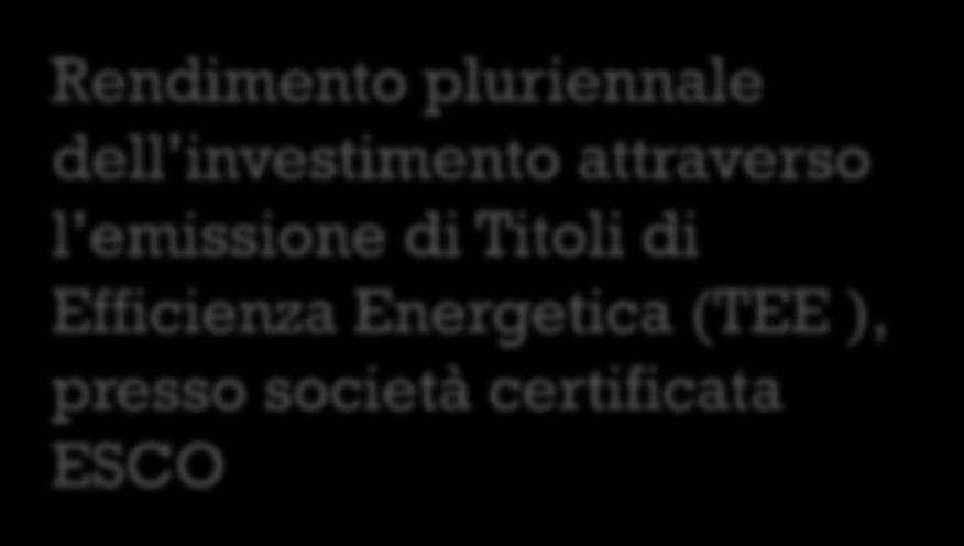 pluriennale dell investimento attraverso l emissione di Titoli di Efficienza