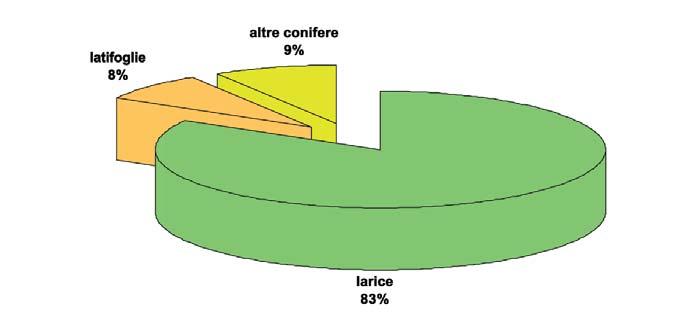 latifoglie mesofile e molto raramente pino cembro.