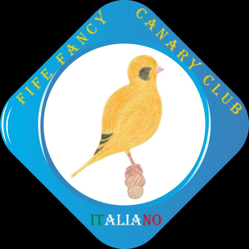 FIFE FANCY CANARY CLUB ITALIANO