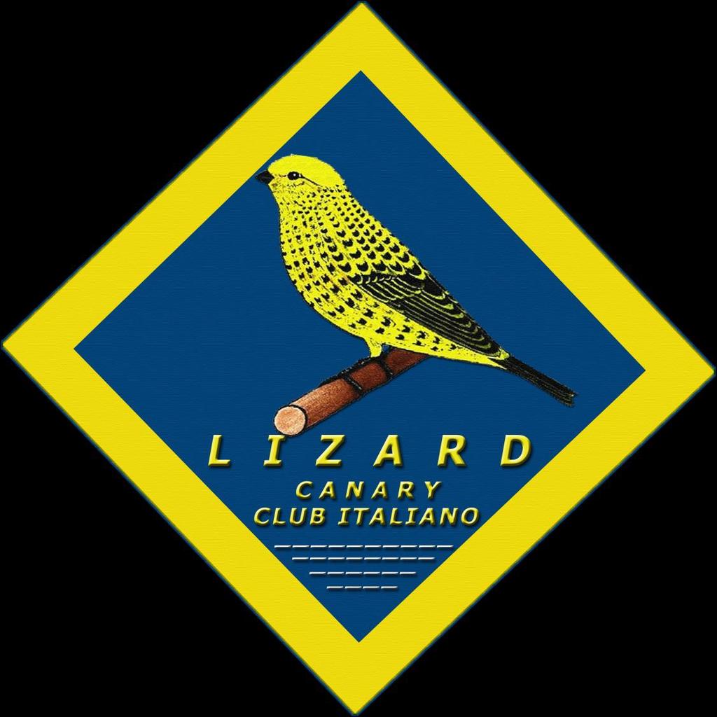 LIZARD CANARY CLUB ITALIANO