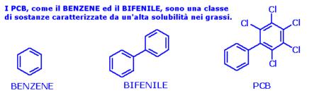 Contaminazione da PCB