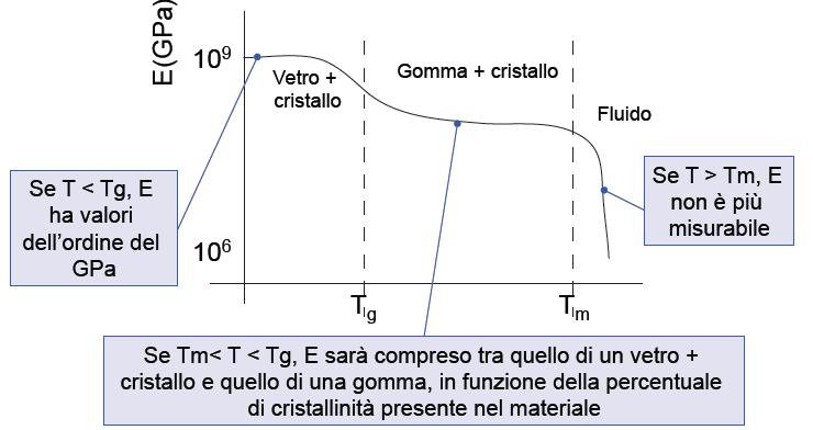 Effetto della reticolazione = il grado di reticolazione di un polimero reticolato può essere correlato con la densità numerica dei legami intermolecolari.