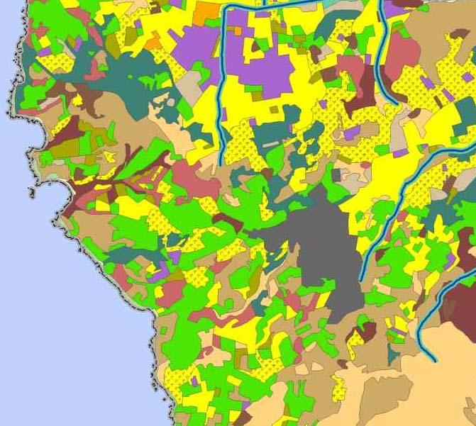 POLITICA DI SETTORE: URBANISTICA In termini di conservazione della biodiversità risulta strategico il tema dell uso/consumo del