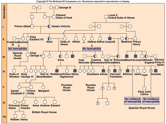 Pedigree dell