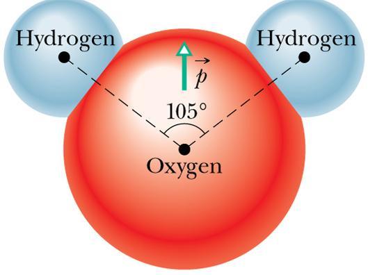 Momento di dipolo Il dipolo elettico è un concetto di estema impotana nella fisica e chimica dello stato solido e molecolae.