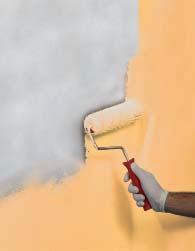 Colorite Matt Idropittura murale per interni ad elevata traspirabilita ed ottima copertura. Consistenza: liquido pastoso.