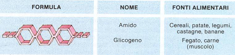 TERZO GRUPPO DI GLUCIDI Assorbimento lento; sono gli zuccheri formati da una catena composta da un numero superiore di molecole semplici