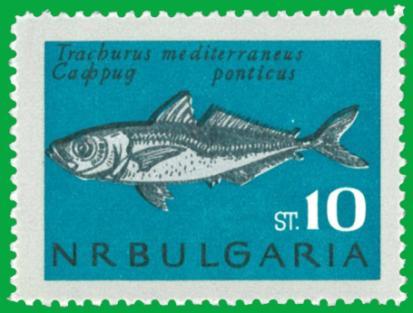 U se pesca cu i tremari, ma megliu cu e trene da fundu, armae cun ciü de deixe lami, garnìi cu in ciümassetu de lana o cun i tremari. E carne i sun savurie.