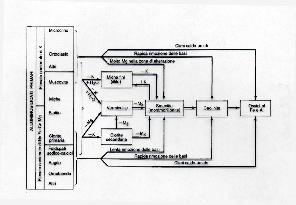 Vie di alterazione dei più importanti