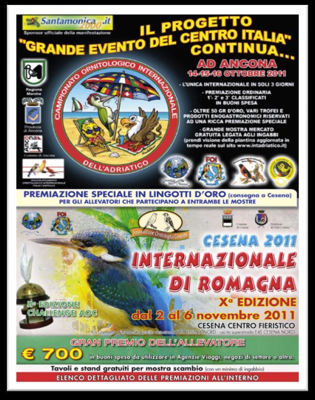 Marche-Umbria Internazionale 2011 in