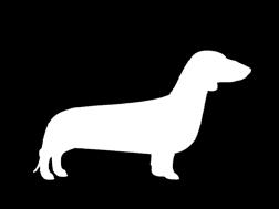 morbida microfibra disponibile in 4 taglie Dog EGODOGM M cm 45-50 Poodle Beagle Boston Terrier