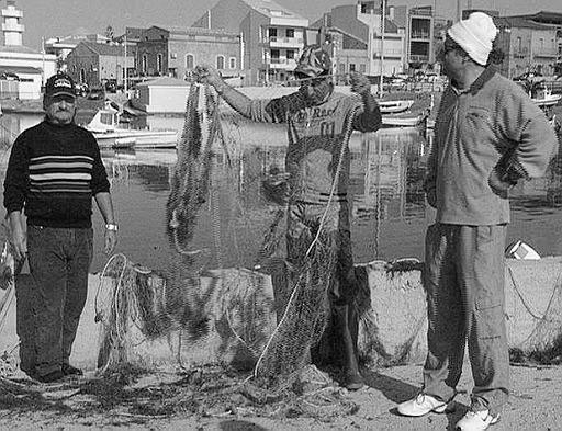 CAULERPA Studio Ambientale delle aree marino costiere della Regione Sicilia interessate alle attività di pesca - Indagini ambientali su fenomeni