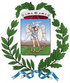 Provincia di Foggia DETERMINAZIONE DEL RESPONSABILE DEL SETTORE n. 475/0 Reg. Deter.