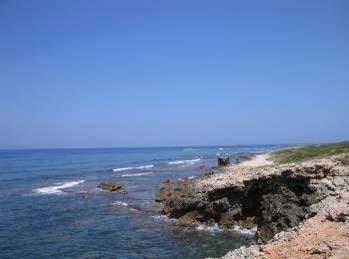 SOTT ACQUA VICINI DI ROCCIA Scuola Secondaria di 1 grado Un esperienza di snorkeling per vivere l acqua dentro l acqua e osservare da vicino le forme di vita che abitano l ambiente marino