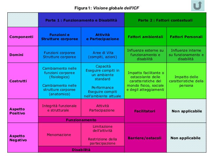 2 Nell elaborazione del PEI l ICF suggerisce di tener conto delle componenti classificate (funzioni e strutture corporee, attivita e partecipazione, fattori ambientali e fattori personali) questo per