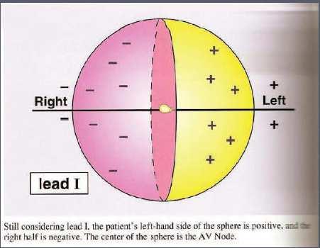 Nella prima derivazione la metà sinistra della sfera