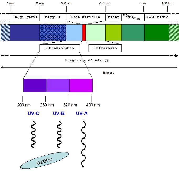 La componente ultravioletta della radiazione solare viene suddivisa in : UVA UVB UVC L