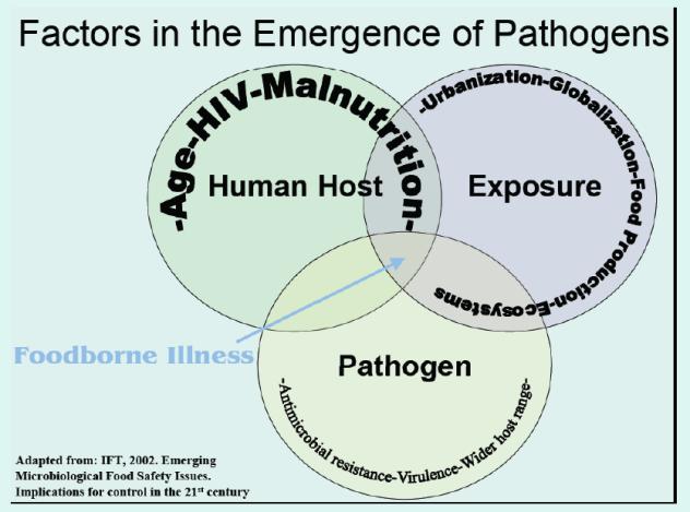 Food borne diseases result from ingestion of a wide variety of foods