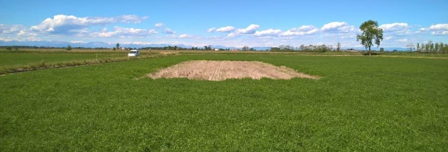 Aspetti agronomici Prova 2016 - Materiali e Metodi Confronto Veccia / No Veccia Erbaio Vicia villosa Roth. var.