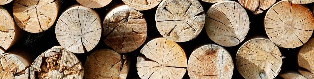 Quando natura fa rima con risparmio Riscaldare con la legna significa anche risparmiare.