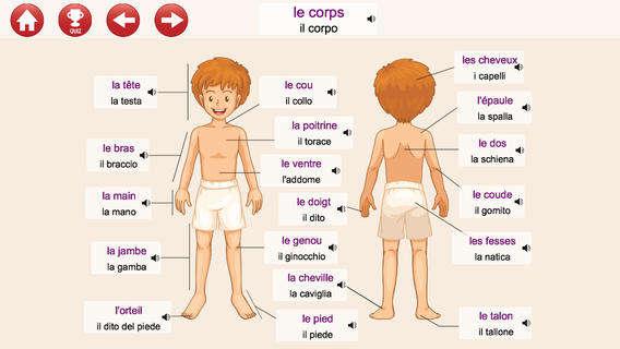 individuandone analogie e differenze.